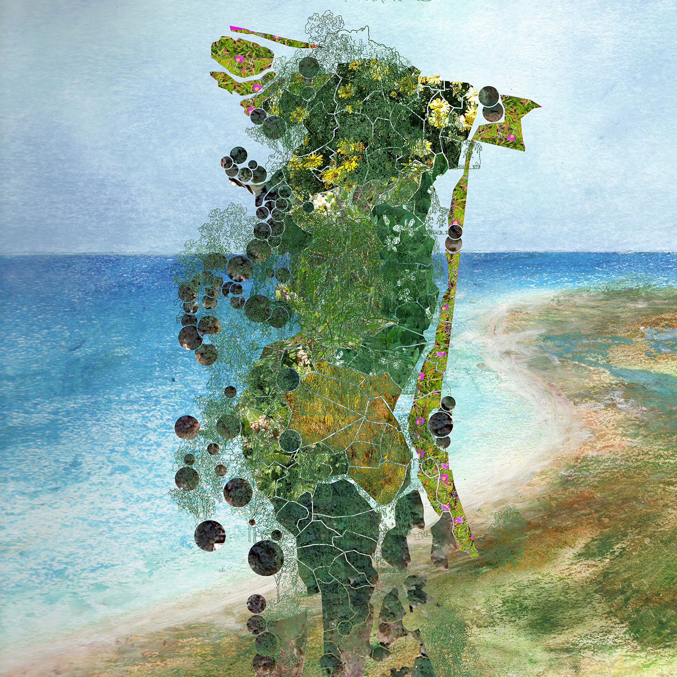 Cañada de los Sauces Norte drawing by Adriana Cuéllar / Border Design Lab
