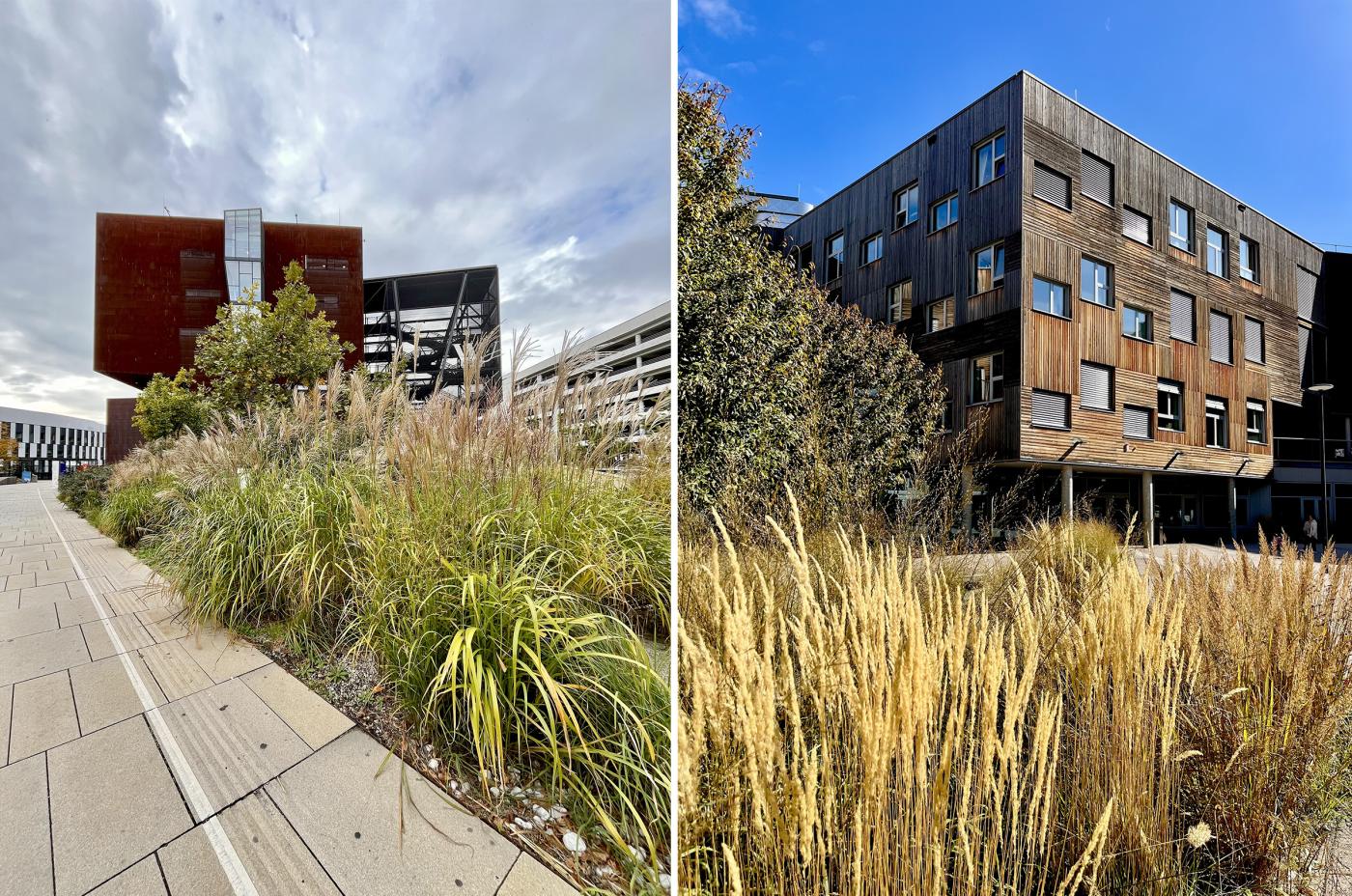 two images - 1) metal clad building in background 2) wood clad building with many windows