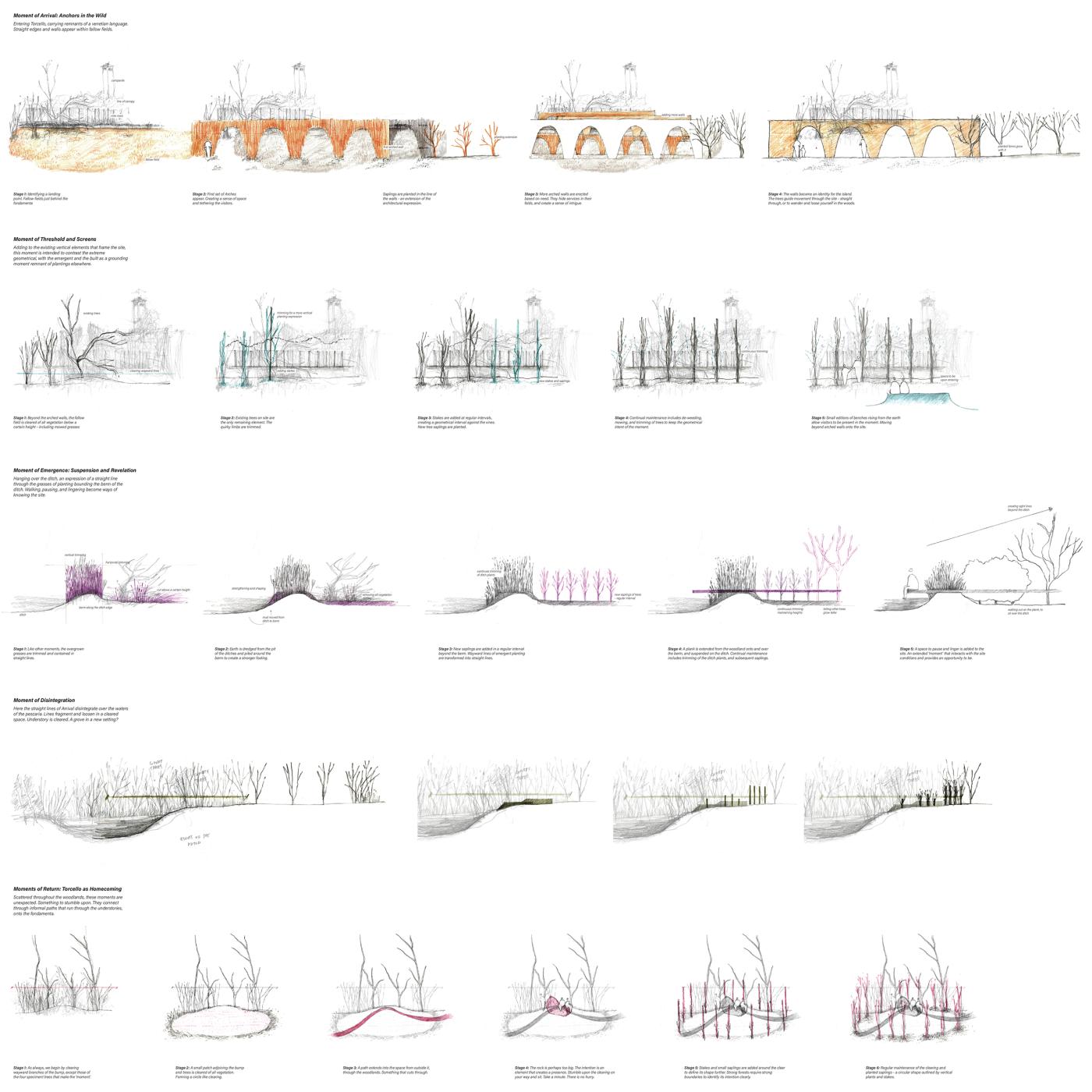 compiled series of hand-drawn sections by Hetvee Panchal