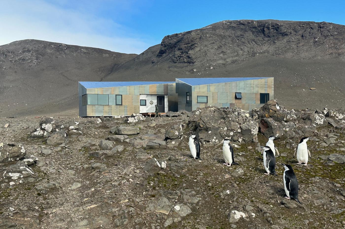 A modern, low-profile research building sits in a stark rocky landscape beneath a steep hillside while several penguins stand scattered in the foreground.