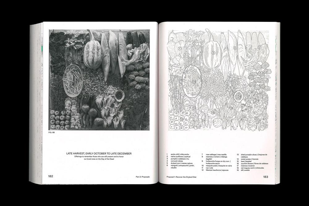 Thinking Through Soil book spread of interior black and white photo and drawing of food. 